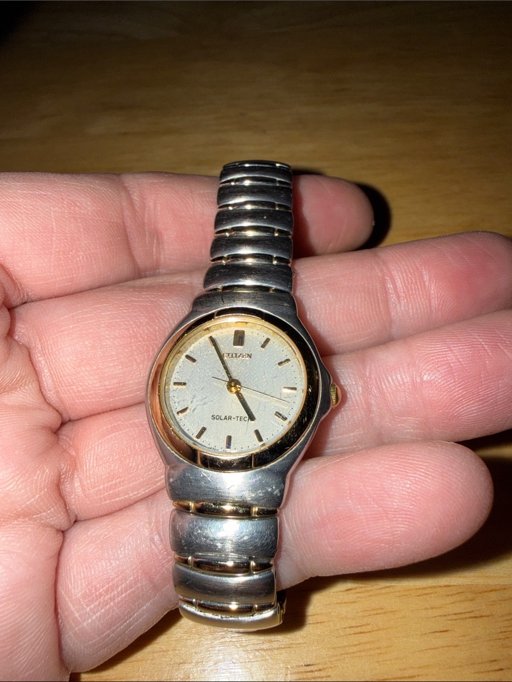 Citizen Two-Tone Solar Tec Watch in Silver and Gold